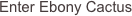 Enter Ebony Cactus